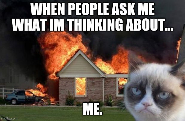 Burn Kitty | WHEN PEOPLE ASK ME WHAT IM THINKING ABOUT... ME. | image tagged in memes,burn kitty,grumpy cat | made w/ Imgflip meme maker