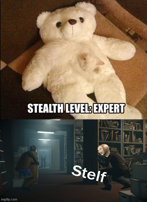 image tagged in stealth,cats | made w/ Imgflip meme maker