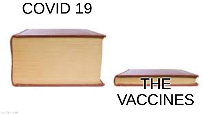 Its true tho | COVID 19; THE VACCINES | image tagged in big book small book | made w/ Imgflip meme maker
