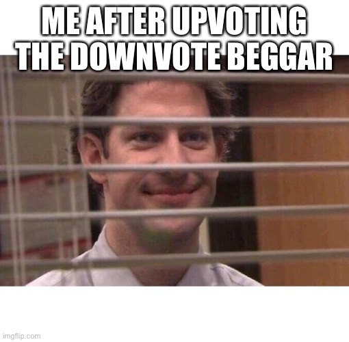 Don’t tell me what to do | ME AFTER UPVOTING THE DOWNVOTE BEGGAR | image tagged in jim office blinds | made w/ Imgflip meme maker