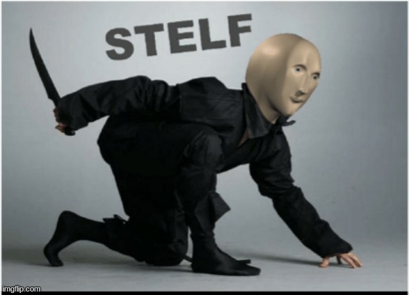 Stelf | image tagged in stelf | made w/ Imgflip meme maker