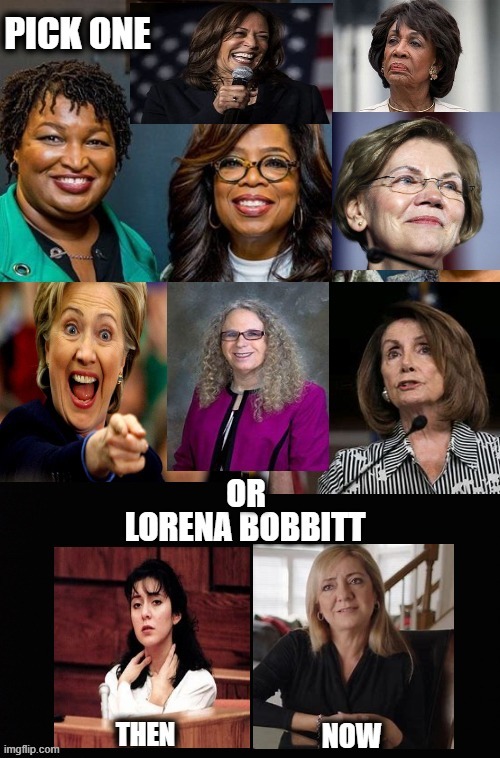 If You Could Pick Only ONE of These Lovely Ladies, Who Would It Be? | image tagged in politics,women,so many choices,lesser of many evils,nasty women,self isolation | made w/ Imgflip meme maker
