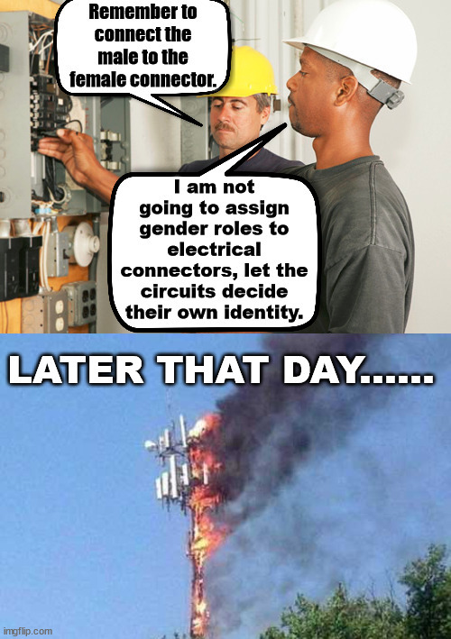 image tagged in gender identity | made w/ Imgflip meme maker