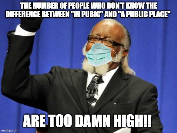 Walking into a private business without a mask is not a legal right | THE NUMBER OF PEOPLE WHO DON'T KNOW THE DIFFERENCE BETWEEN "IN PUBIC" AND "A PUBLIC PLACE"; ARE TOO DAMN HIGH!! | image tagged in memes,too damn high,masks | made w/ Imgflip meme maker