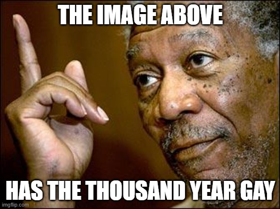 This Morgan Freeman | THE IMAGE ABOVE; HAS THE THOUSAND YEAR GAY | image tagged in this morgan freeman | made w/ Imgflip meme maker