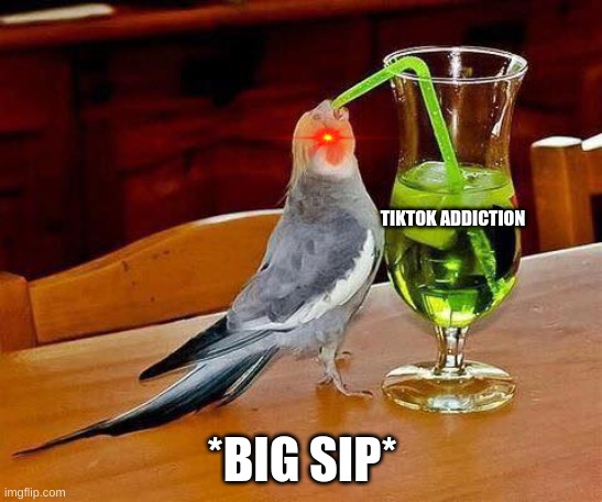 Big Sip |  TIKTOK ADDICTION; *BIG SIP* | image tagged in big sip | made w/ Imgflip meme maker
