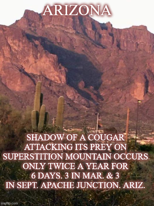 cougar | ARIZONA; SHADOW OF A COUGAR ATTACKING ITS PREY ON SUPERSTITION MOUNTAIN OCCURS ONLY TWICE A YEAR FOR 6 DAYS. 3 IN MAR. & 3 IN SEPT. APACHE JUNCTION. ARIZ. | image tagged in cougar | made w/ Imgflip meme maker