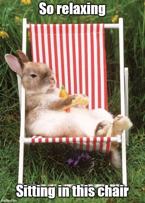 So relaxing; Sitting in this chair | image tagged in bunnies | made w/ Imgflip meme maker