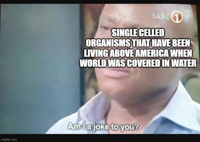 SINGLE CELLED ORGANISMS THAT HAVE BEEN LIVING ABOVE AMERICA WHEN WORLD WAS COVERED IN WATER | image tagged in am i a joke to you | made w/ Imgflip meme maker