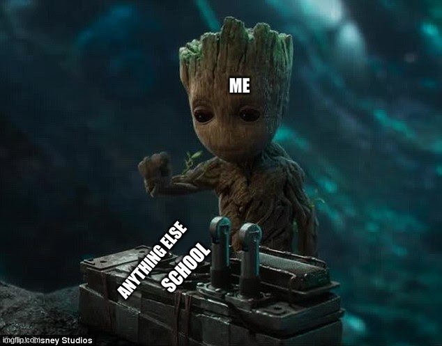 everyone | ME; ANYTHING ELSE; SCHOOL | image tagged in baby groot | made w/ Imgflip meme maker