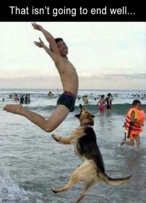 rip mans balls | image tagged in i think we all know where this is going | made w/ Imgflip meme maker