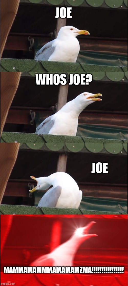 Inhaling Seagull Meme | JOE; WHOS JOE? JOE; MAMMAMAMMMAMAMAMZMA!!!!!!!!!!!!!!!! | image tagged in memes,inhaling seagull | made w/ Imgflip meme maker