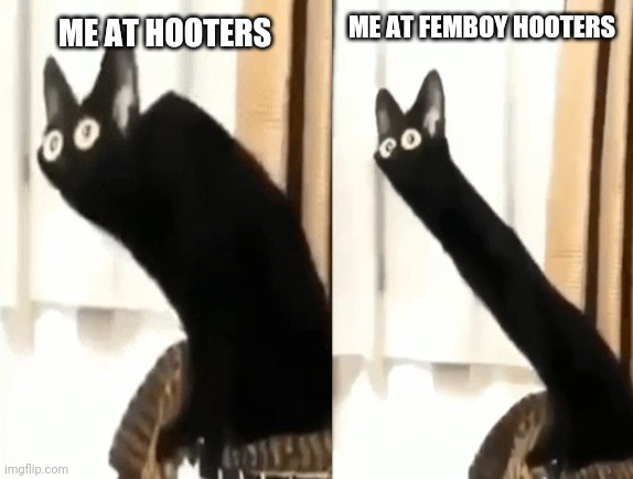 *insert clever name here* | ME AT FEMBOY HOOTERS; ME AT HOOTERS | image tagged in memes,cat,hooters,femboy hooters | made w/ Imgflip meme maker
