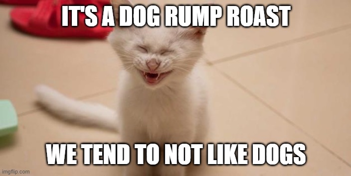 Cat Laughing | IT'S A DOG RUMP ROAST WE TEND TO NOT LIKE DOGS | image tagged in cat laughing | made w/ Imgflip meme maker