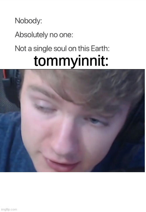 me gusta | tommyinnit: | image tagged in nobody absolutely no one,minecraft,tommy,dream,dreamsmp | made w/ Imgflip meme maker