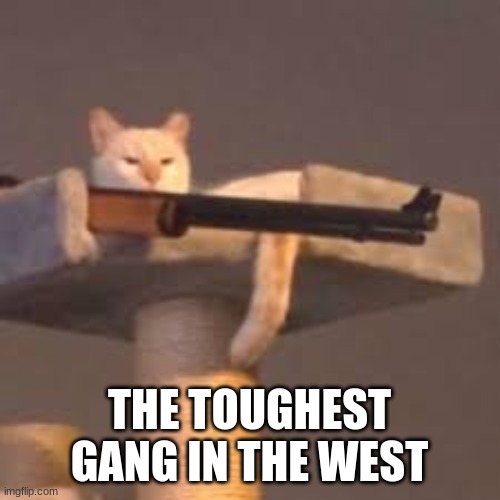 THE TOUGHEST GANG IN THE WEST | made w/ Imgflip meme maker