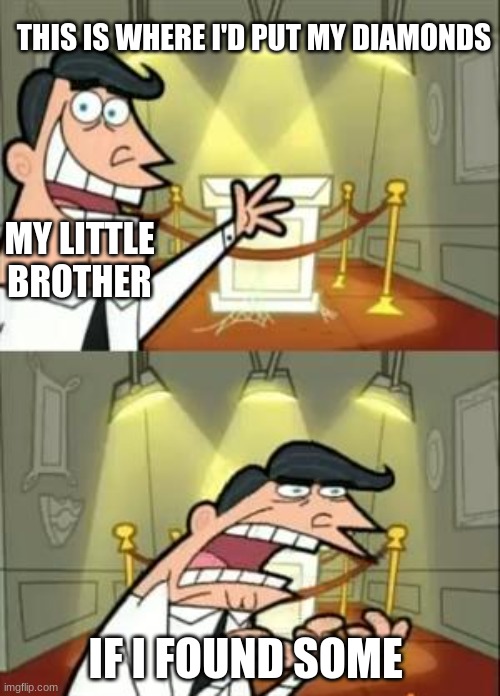 This Is Where I'd Put My Trophy If I Had One | THIS IS WHERE I'D PUT MY DIAMONDS; MY LITTLE BROTHER; IF I FOUND SOME | image tagged in memes,this is where i'd put my trophy if i had one | made w/ Imgflip meme maker