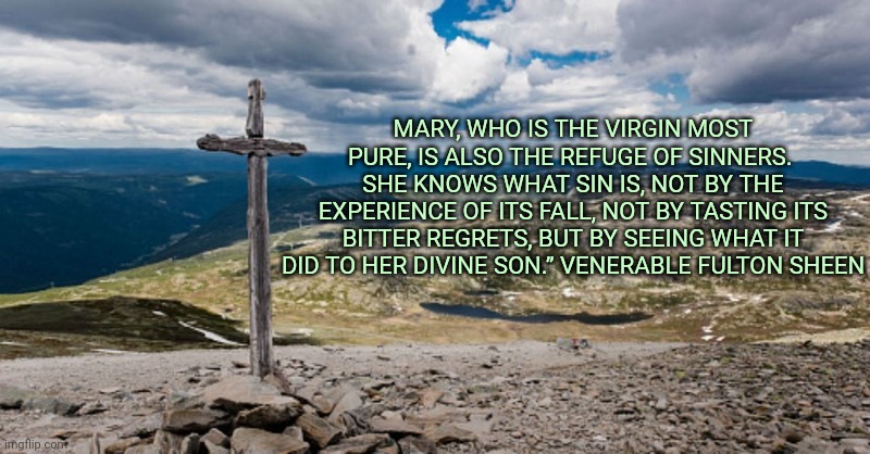 MARY, WHO IS THE VIRGIN MOST PURE, IS ALSO THE REFUGE OF SINNERS.  SHE KNOWS WHAT SIN IS, NOT BY THE EXPERIENCE OF ITS FALL, NOT BY TASTING ITS BITTER REGRETS, BUT BY SEEING WHAT IT DID TO HER DIVINE SON.” VENERABLE FULTON SHEEN | image tagged in lent,sacrifice | made w/ Imgflip meme maker