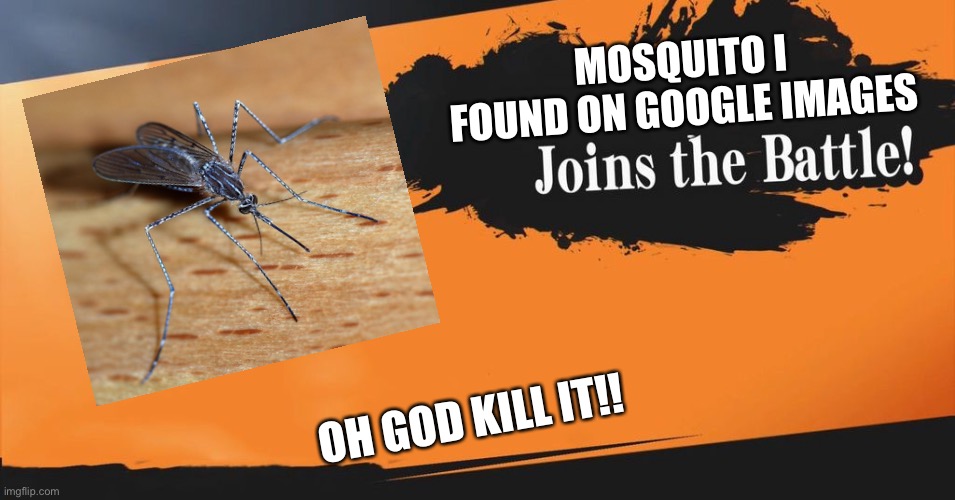 kill it with fire. | MOSQUITO I FOUND ON GOOGLE IMAGES; OH GOD KILL IT!! | image tagged in smash bros,bugs | made w/ Imgflip meme maker
