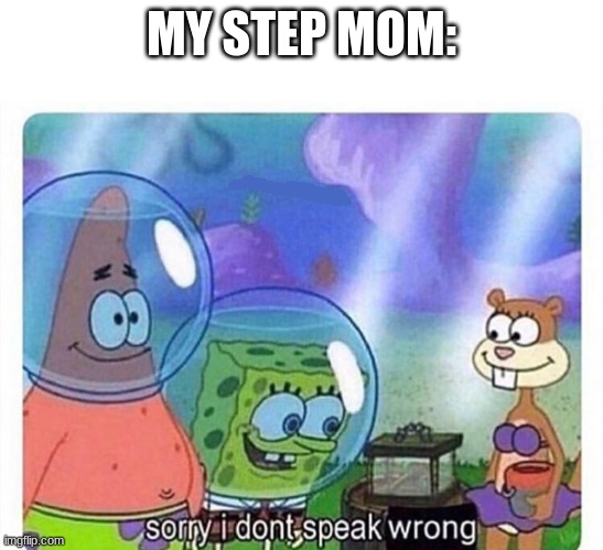 sorry i dont speak wrong | MY STEP MOM: | image tagged in sorry i dont speak wrong | made w/ Imgflip meme maker