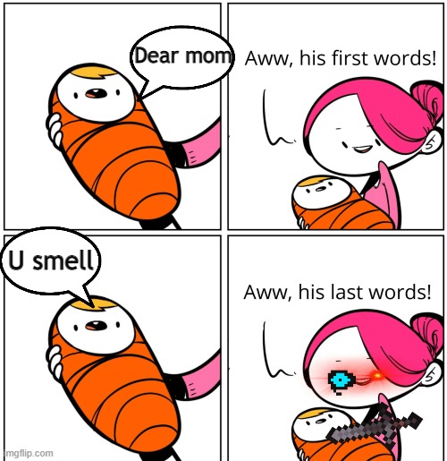 No no no no no NOOOOOOOOOOOO | Dear mom; U smell | image tagged in aww his last words | made w/ Imgflip meme maker