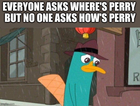 EVERYONE ASKS WHERE'S PERRY 
BUT NO ONE ASKS HOW'S PERRY | image tagged in where's perry | made w/ Imgflip meme maker