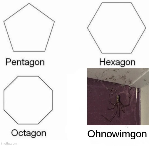 Pentagon Hexagon Octagon | Ohnowimgon | image tagged in memes,pentagon hexagon octagon | made w/ Imgflip meme maker