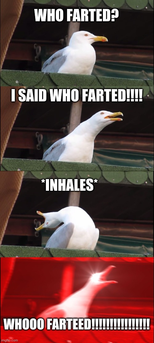 Seagull does not like farts | WHO FARTED? I SAID WHO FARTED!!!! *INHALES*; WHOOO FARTEED!!!!!!!!!!!!!!!! | image tagged in memes,inhaling seagull | made w/ Imgflip meme maker