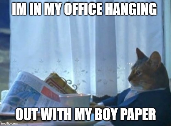 ... | IM IN MY OFFICE HANGING; OUT WITH MY BOY PAPER | image tagged in memes,i should buy a boat cat | made w/ Imgflip meme maker