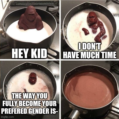 chocolate gorilla | HEY KID; I DON'T HAVE MUCH TIME; THE WAY YOU FULLY BECOME YOUR PREFERED GENDER IS- | image tagged in chocolate gorilla | made w/ Imgflip meme maker