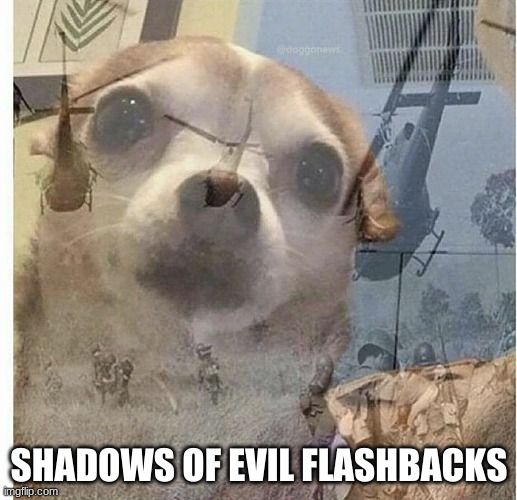 PTSD Chihuahua | SHADOWS OF EVIL FLASHBACKS | image tagged in ptsd chihuahua | made w/ Imgflip meme maker