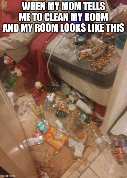 DIRTY | WHEN MY MOM TELLS ME TO CLEAN MY ROOM AND MY ROOM LOOKS LIKE THIS | image tagged in dirty room | made w/ Imgflip meme maker