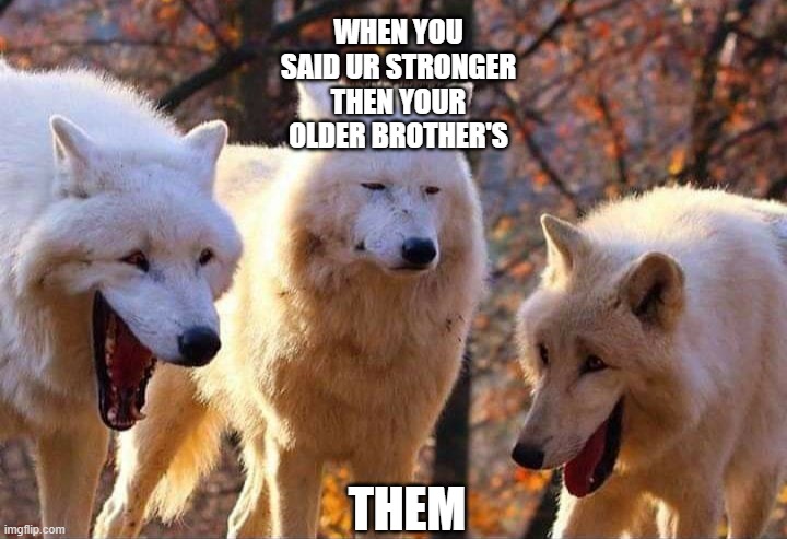 Laughing wolf | WHEN YOU SAID UR STRONGER THEN YOUR OLDER BROTHER'S; THEM | image tagged in laughing wolf | made w/ Imgflip meme maker