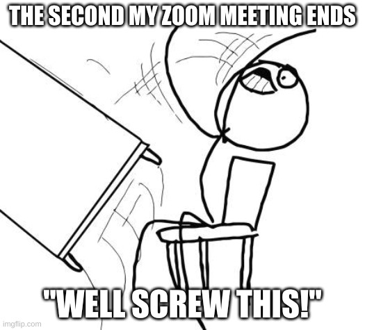 Table Flip Guy | THE SECOND MY ZOOM MEETING ENDS; "WELL SCREW THIS!" | image tagged in memes,table flip guy | made w/ Imgflip meme maker