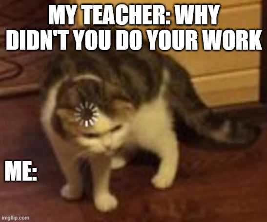 Loading cat | MY TEACHER: WHY DIDN'T YOU DO YOUR WORK; ME: | image tagged in loading cat | made w/ Imgflip meme maker