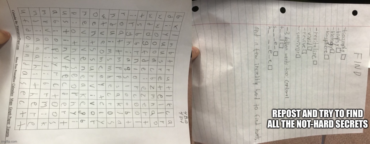 Had to do this for classsss | REPOST AND TRY TO FIND ALL THE NOT-HARD SECRETS | image tagged in class,school,word search,puzzle | made w/ Imgflip meme maker