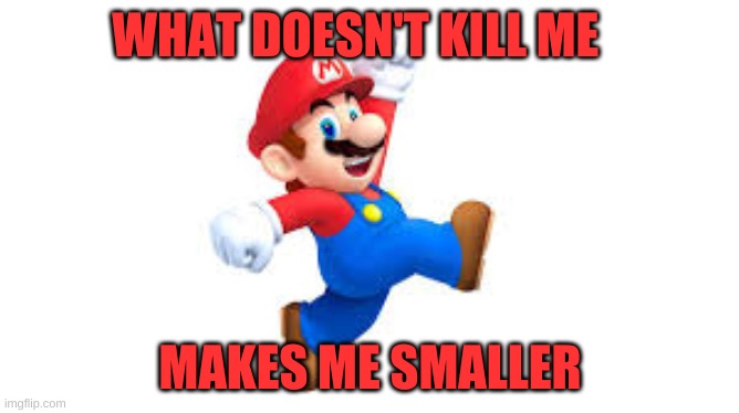 true | WHAT DOESN'T KILL ME; MAKES ME SMALLER | image tagged in memes | made w/ Imgflip meme maker