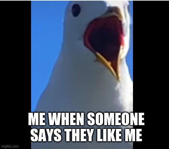 ME WHEN SOMEONE SAYS THEY LIKE ME | made w/ Imgflip meme maker