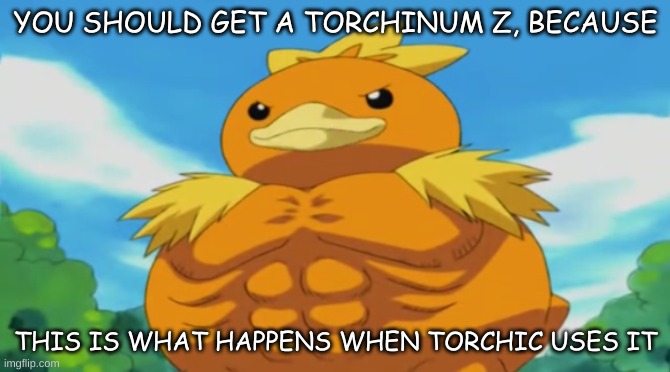 Torchinum Z: Flexing Chick | YOU SHOULD GET A TORCHINUM Z, BECAUSE; THIS IS WHAT HAPPENS WHEN TORCHIC USES IT | image tagged in funny memes | made w/ Imgflip meme maker