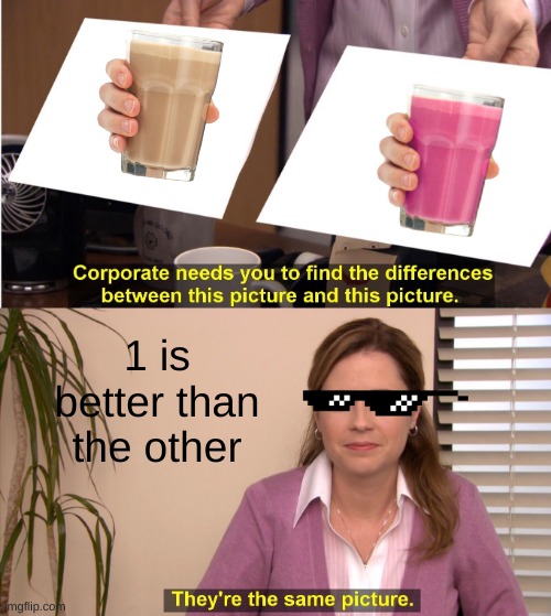 They're The Same Picture | 1 is better than the other | image tagged in memes,they're the same picture | made w/ Imgflip meme maker