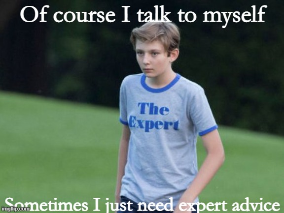 it's true tho.. | Of course I talk to myself; Sometimes I just need expert advice | image tagged in the expert | made w/ Imgflip meme maker