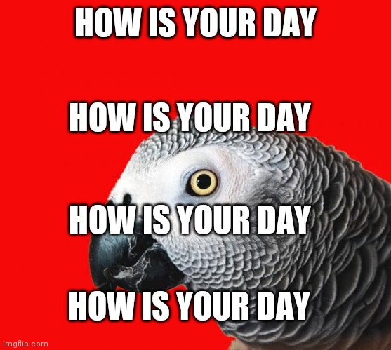 Repeating Parrot named Cishet | HOW IS YOUR DAY HOW IS YOUR DAY HOW IS YOUR DAY HOW IS YOUR DAY | image tagged in repeating parrot named cishet | made w/ Imgflip meme maker