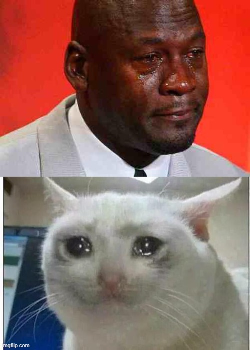 image tagged in crying michael jordan,crying cat | made w/ Imgflip meme maker