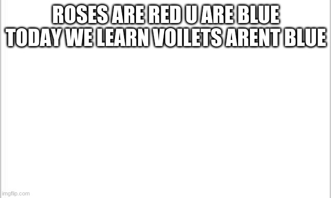 Owner note: DAMN RIGHT | ROSES ARE RED U ARE BLUE TODAY WE LEARN VIOLETS ARENT BLUE | image tagged in white background | made w/ Imgflip meme maker