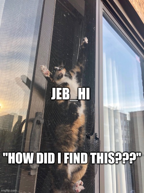 cat stuck on screen |  JEB_HI; "HOW DID I FIND THIS???" | image tagged in cat stuck on screen | made w/ Imgflip meme maker