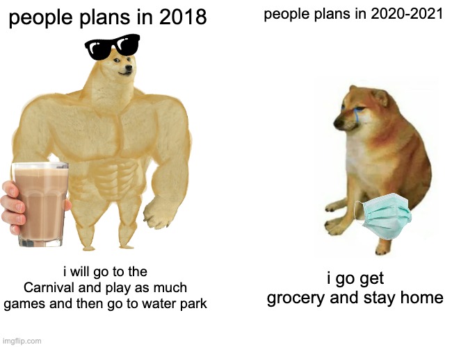 meme | people plans in 2018; people plans in 2020-2021; i will go to the Carnival and play as much games and then go to water park; i go get grocery and stay home | image tagged in memes | made w/ Imgflip meme maker