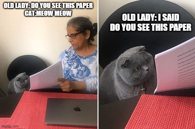 haha corny | OLD LADY: I SAID DO YOU SEE THIS PAPER; OLD LADY: DO YOU SEE THIS PAPER
CAT:MEOW MEOW | image tagged in woman showing paper to cat | made w/ Imgflip meme maker