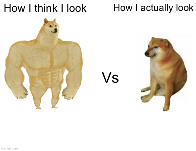 True facts | How I think I look; How I actually look; Vs | image tagged in memes,buff doge vs cheems | made w/ Imgflip meme maker
