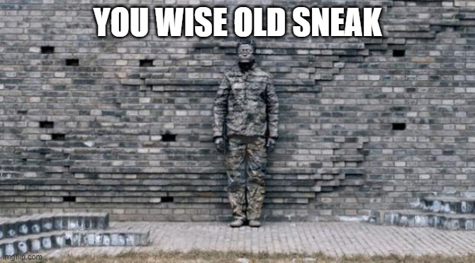 camouflage wall | YOU WISE OLD SNEAK | image tagged in camouflage wall | made w/ Imgflip meme maker