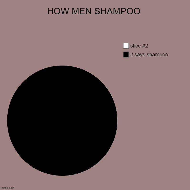 HOW MEN SHAMPOO | it says shampoo | image tagged in charts,pie charts | made w/ Imgflip chart maker